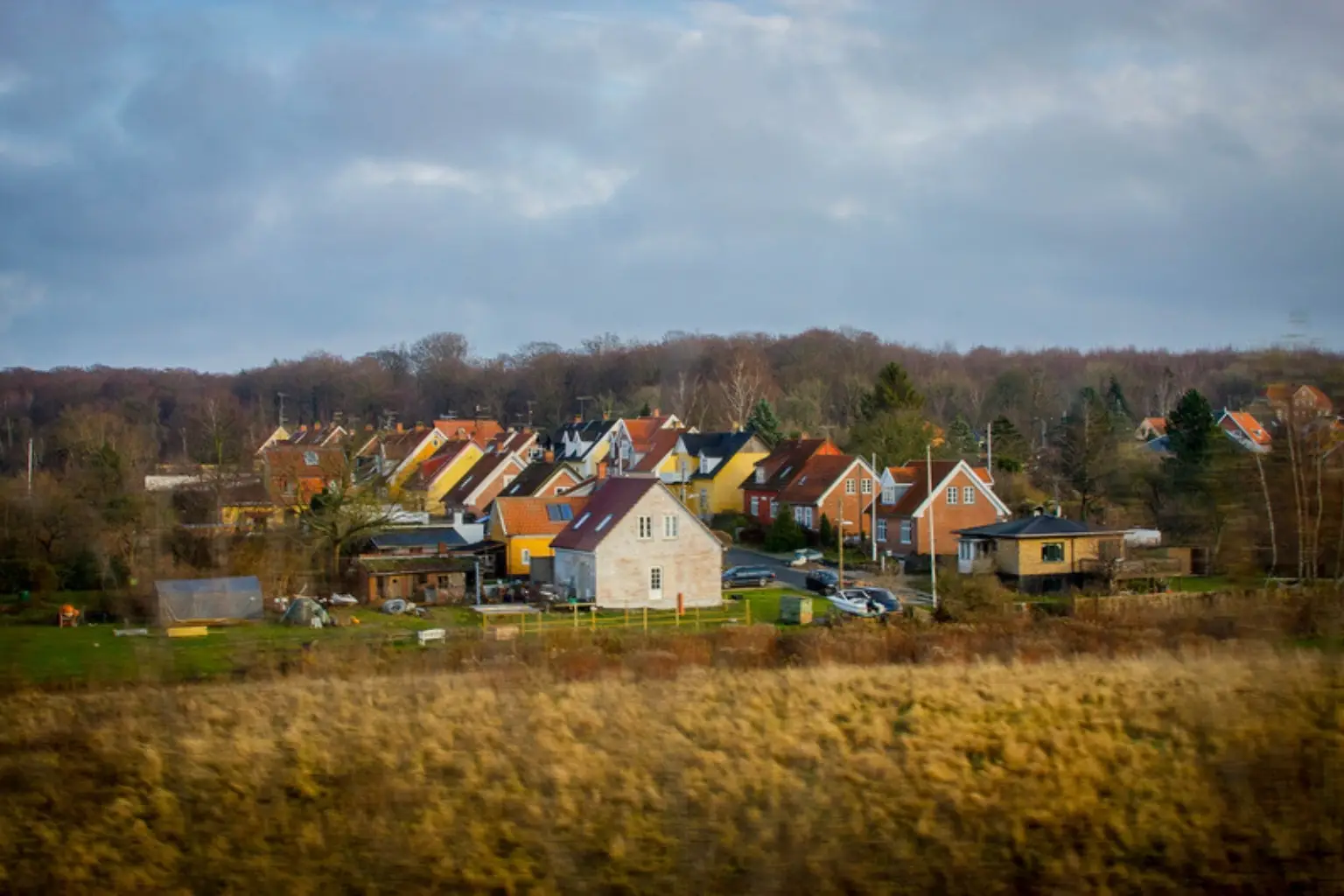 Villakvarter med farvede huse i kanten af en mark og en skov i efterårslys