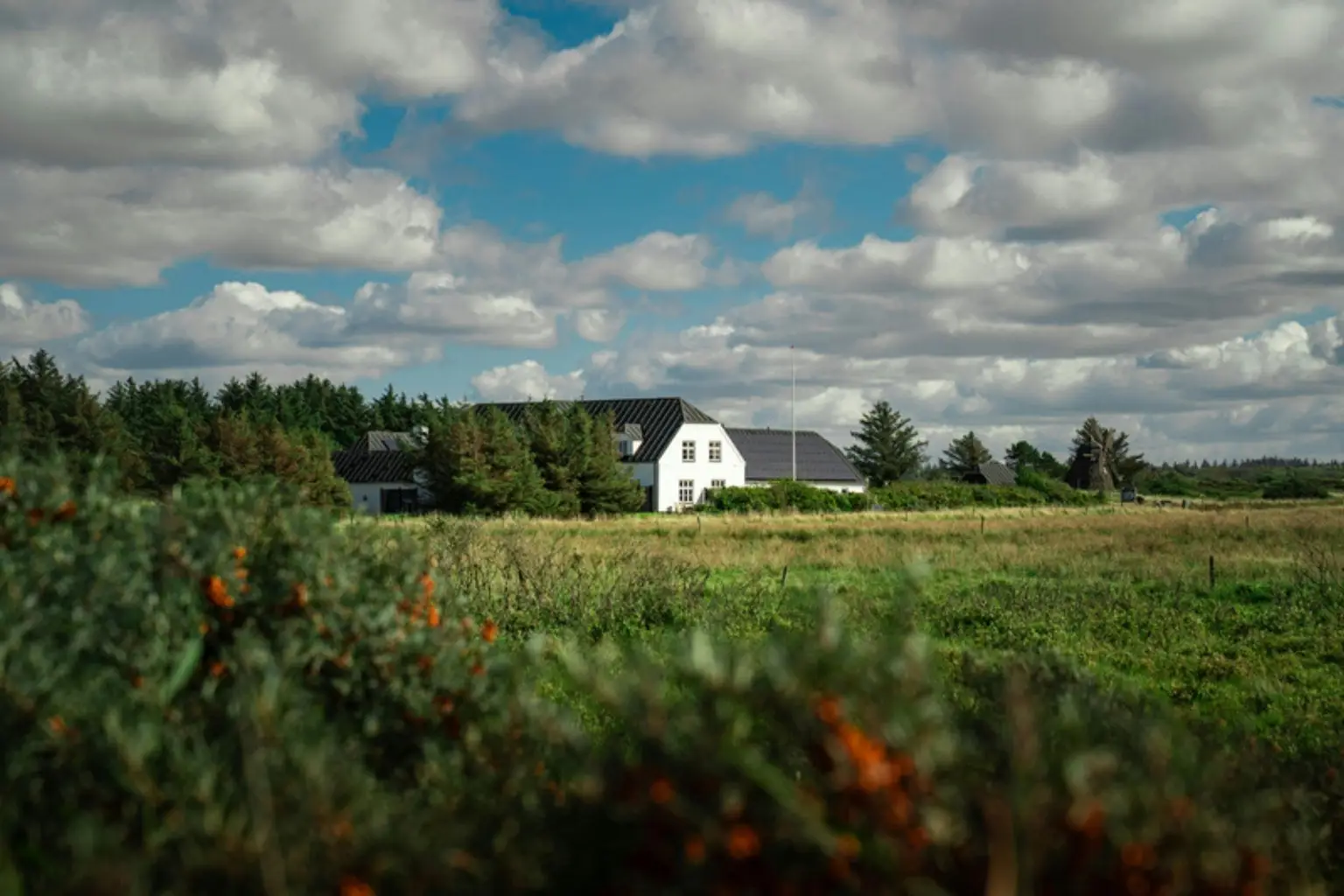 Hvidt hus med sort tag bag grønne buske og en mark under skyet himmel
